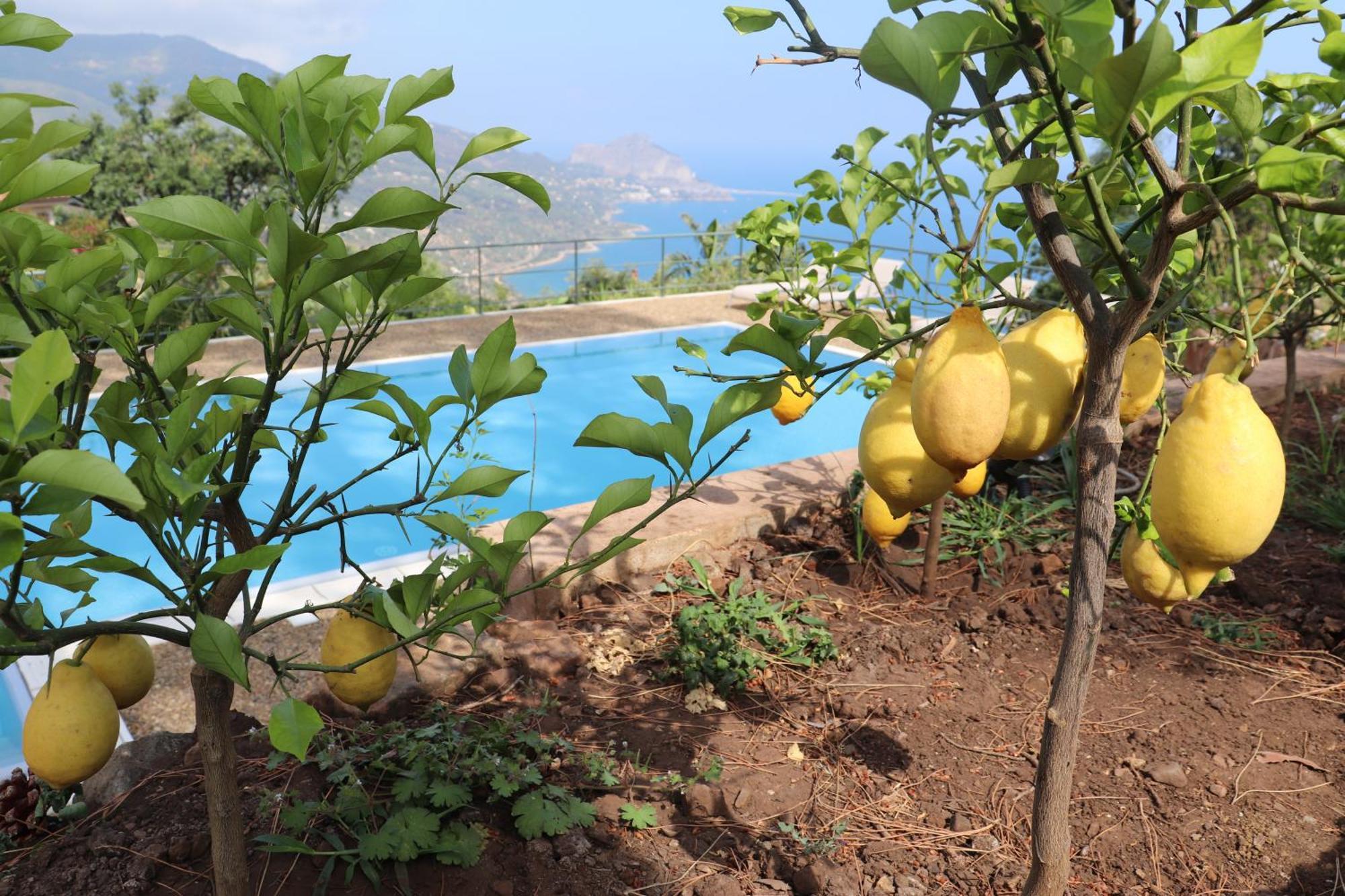 Cefalu Nest Pool House Terrace Sea View Екстер'єр фото